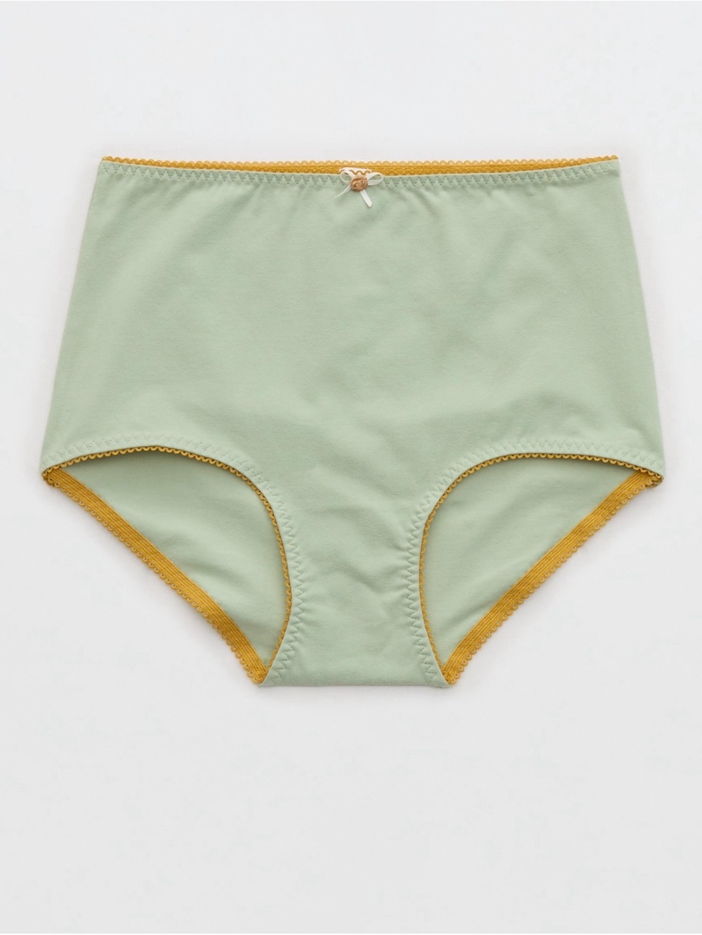 NWT Aerie Retro High Rise Panty